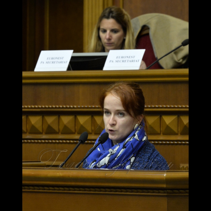 Засідання Комітету ПА ЄВРОНЕСТ  з соціальних питань, освіти, культури та громадянського суспільства у ВР. Олександра Чуркіна заступника міністра соціальної політики з питань європейської інтеграції 