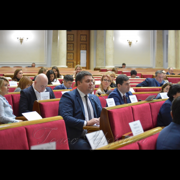 У Верховній Раді проходить пленарне засідання VI сесії Парламентської асамблеї ЄВРОНЕСТ. Корчик, Лубінець