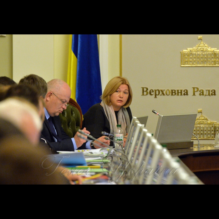   Погоджувальна рада Верховної Ради України. Степан Кубів, Ірина Геращенко