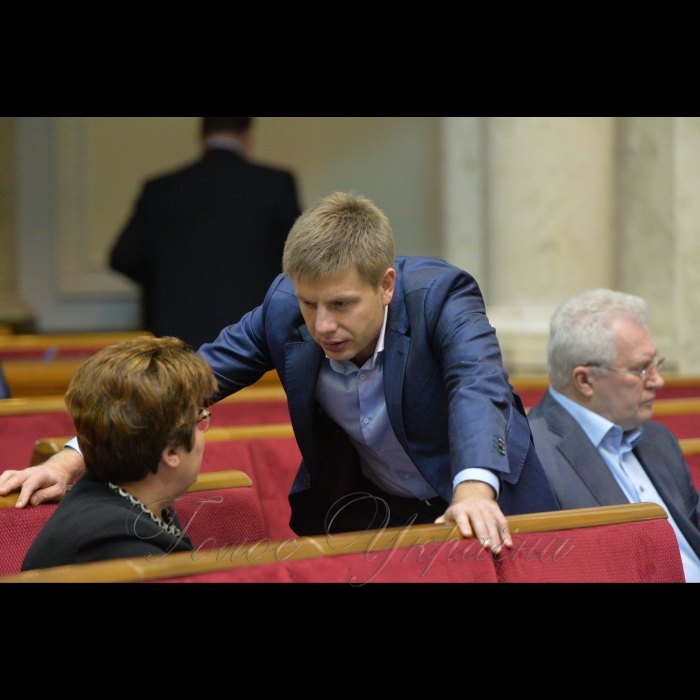 Пленарне засідання Верховної Ради України. Гончаренко Олексій 