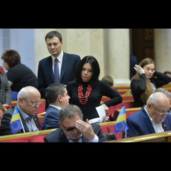 Пленарне засідання Верховної Ради України. Вікторія Сюмар