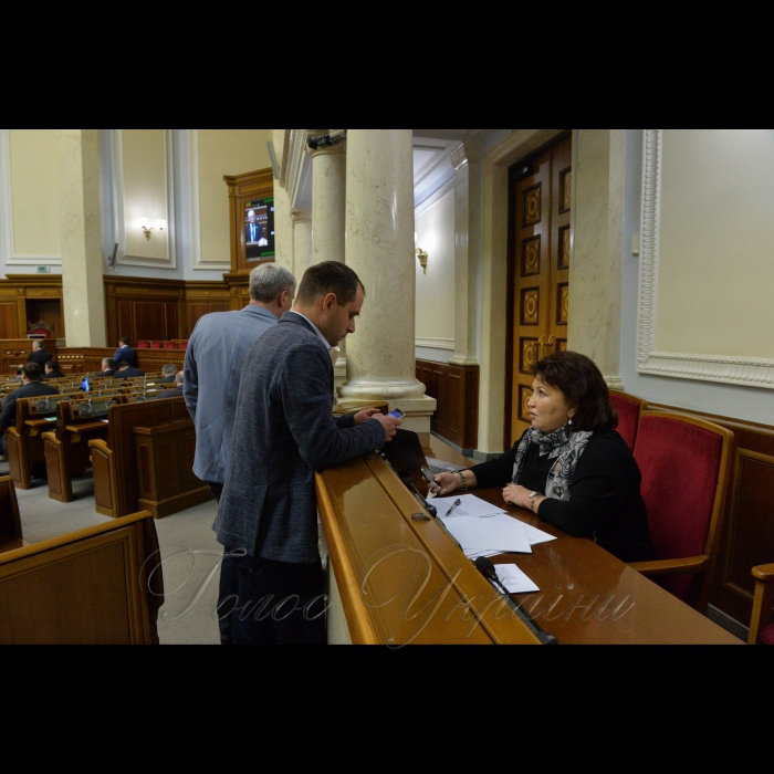Пленарне засідання Верховної Ради України. Бахтєєва