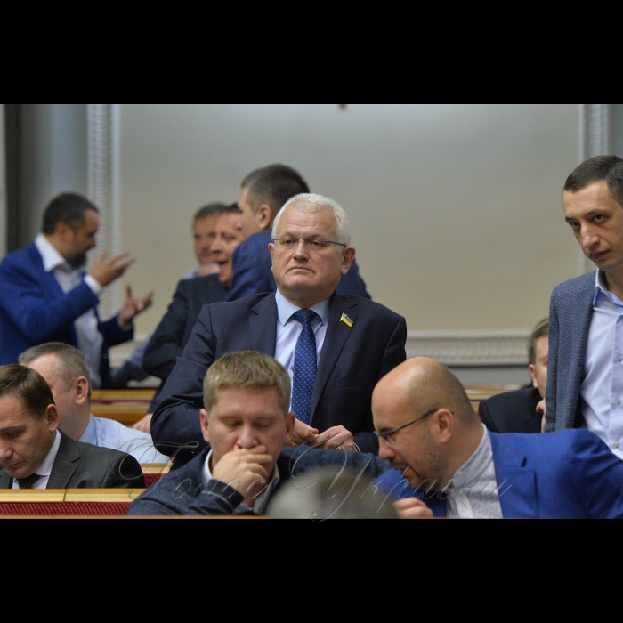 Пленарне засідання Верховної Ради України. Олександр Співаковський-БПП