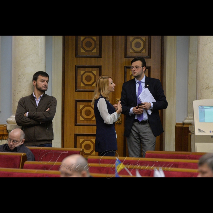 Пленарне засідання Верховної Ради України. Олександр Опанасенко, Анна Романова,(обоє-Свмопоміч) Віктор Галасюк-РП