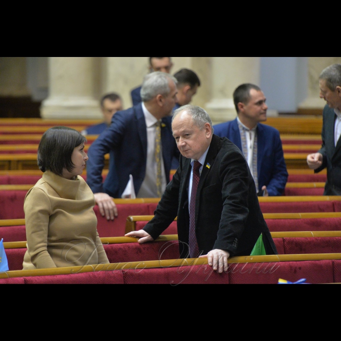 19 січня 2018 пленарне засідання Верховної Ради України. День уряду. Вікторія Пташник - позафрак., Валентин Дідич -позафрак.
