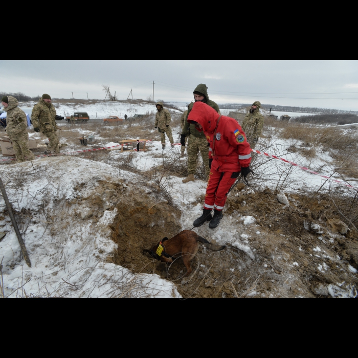 12 лютого 2018 поїздка в зону АТО разом з першим заступником Голови ВРУ Іриною Геращенко, заступником Голови Комітету ВРУ з питань євроінтеграції Марією Іоновою, заступником Міністра закордонних справ України Оленою Зеркаль, заступником керівника Головного департаменту зовнішньої політики та євроінтеграції АПУ Мариною Михайленко та Надзвичайним і Повноважним Послом Іспанії в Україні Сільвією Кортес Мартін.
Висота 233 поблизу села Спірне. Пошук загиблих «Евакуація -200».