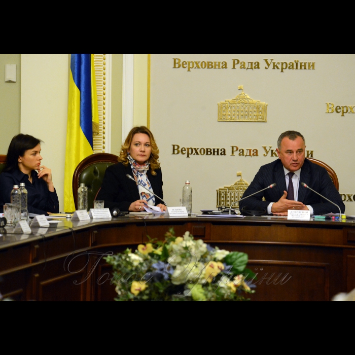 23 лютого 2018 комітет Верховної Ради України з питань паливно-енергетичного комплексу, ядерної політики та ядерної безпеки провів «круглий стіл» на тему: «Співпраця у трикутнику Парламент-Уряд-НАК «Нафтогаз».
Cекретар комітету Вікторія Войціцька, заст. голови комітету Ольга Бєлькова, перший заст. голови Комітету Верховної Ради України з питань паливно-енергетичного комплексу, ядерної політики та ядерної безпеки Олександр Домбровський.