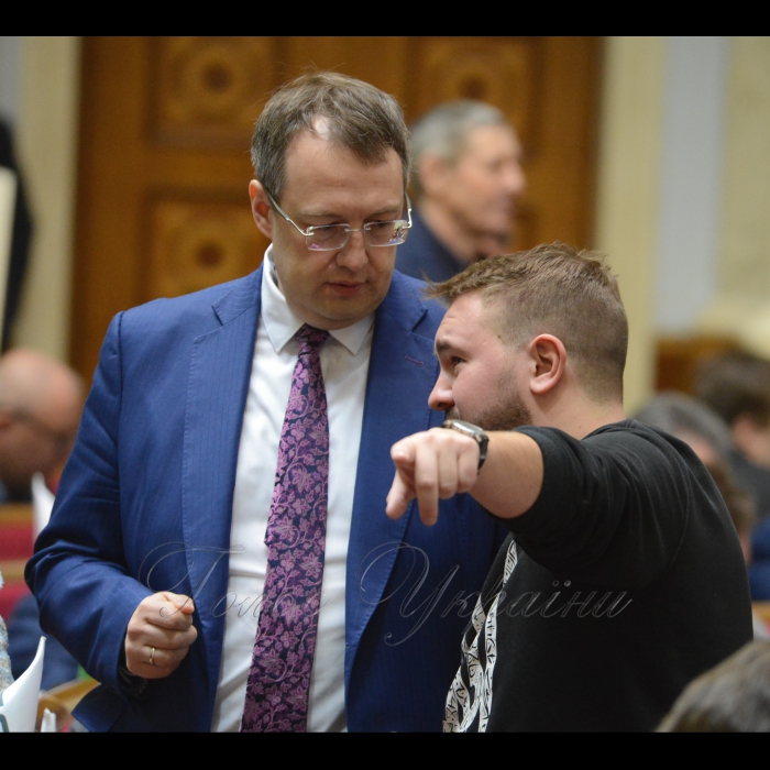 Сесія Верховної Ради України. Антон Геращенко НФ Андрій Лозовой РП