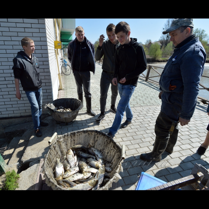 Немішаївський агротехнічний коледж НУБіП України, Київська обл. 