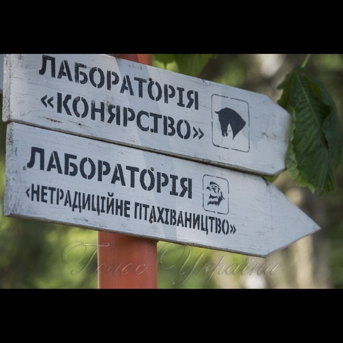 8 травня 2018 у ВП НУБІП «Немішаївський агротехнічний коледж» широко відзначали День пам’яті та примирення та 73-ю річницю Перемоги з метою гідного вшанування подвигу українського народу, його визначного внеску у перемогу антигітлерівської коаліції у Другій світовій війні, висловлення поваги всім борцям проти нацизму, увічнення пам’яті про загиблих воїнів та жертв війни.