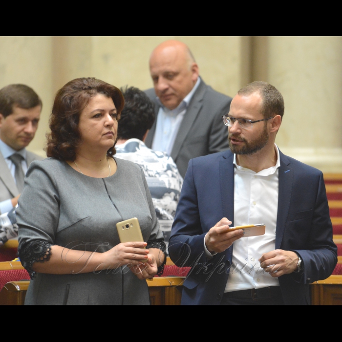 15 травня 2018 сесія Верховної Ради України. Павло Пинзеник НФ, Олена Бойко НФ.