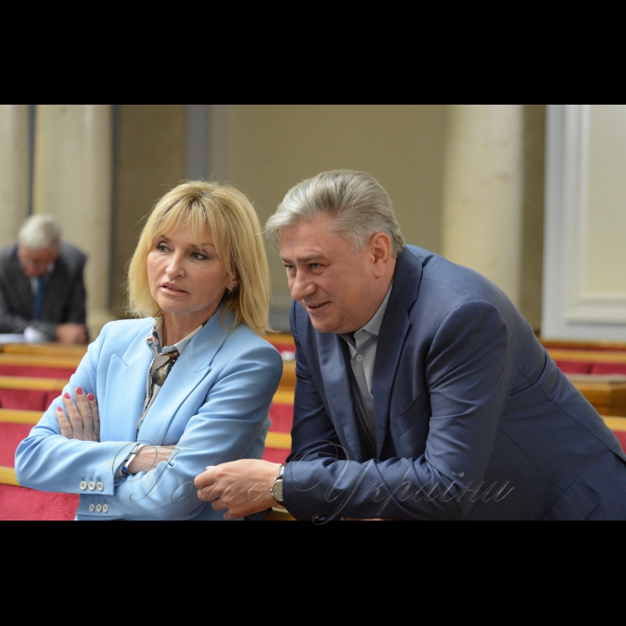 15 травня 2018 сесія Верховної Ради України. Ірина Луценко, Віталій Гудзенко БП.