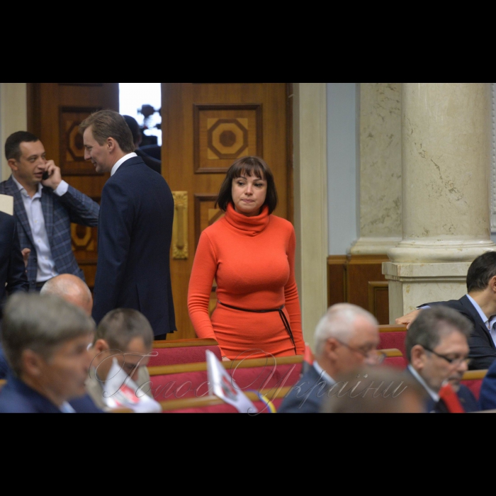 22 травня 2018 сесія Верховної Ради України. Тетяна Ричкова –БПП.