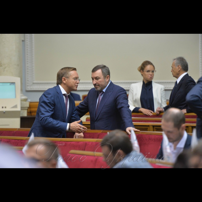 22 травня 2018 сесія Верховної Ради України. Володимир Бандуров-Воля Народу, Андрій Шипко – Відродження.