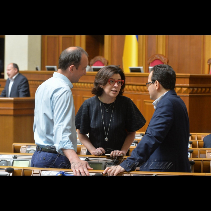 23 травня 2018 сесія Верховної Ради України. Єгор Соболєв, Оксана Сироїд, Олег Березюк-Самопоміч.
