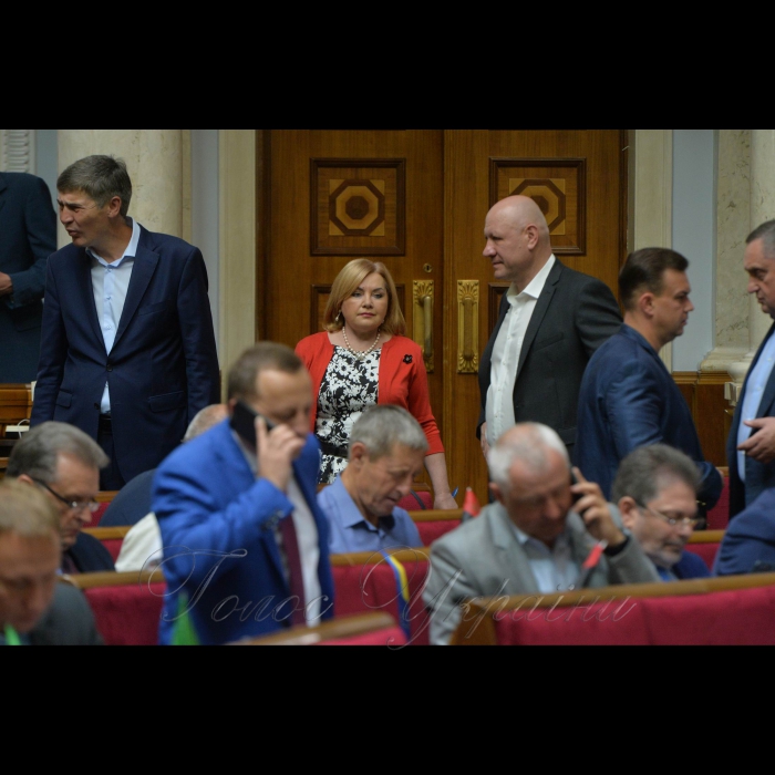 24 травня 2018 сесія Верховної Ради України. Оксана Білозір-БПП.