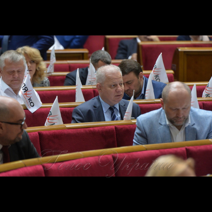 24 травня 2018 сесія Верховної Ради України. РП, Віктор Вовк.