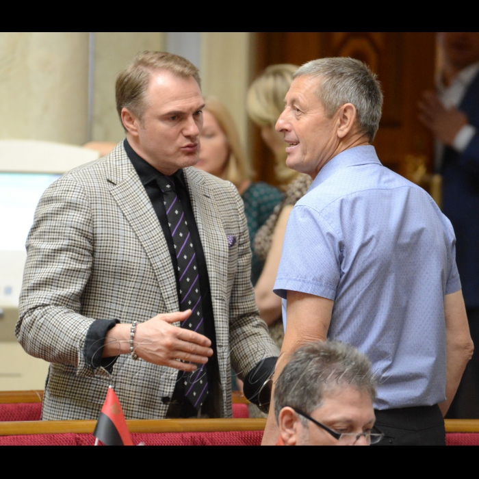 25 травня 2018 сесія Верховної Ради України. Євген Рибчинський Воля, Іван Спориш БП.