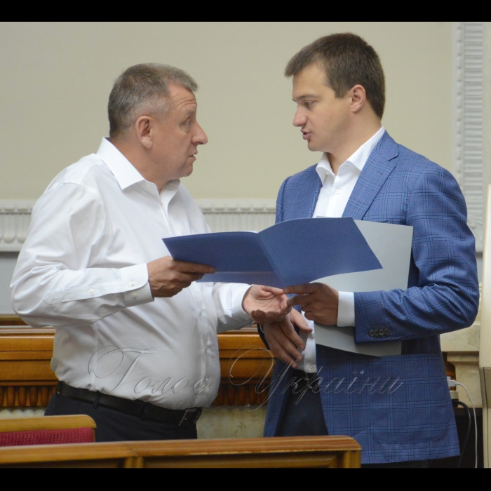 25 травня 2018 сесія Верховної Ради України. Петро Юрчишин, Сергій Березенко БП.