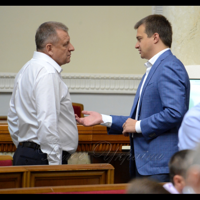 25 травня 2018 сесія Верховної Ради України. Петро Юрчишин, Сергій Березенко БП.