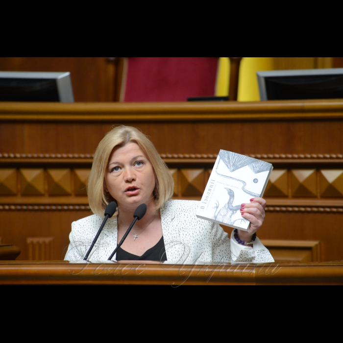 Сесія Верховної Ради України. Ірина Геращенко