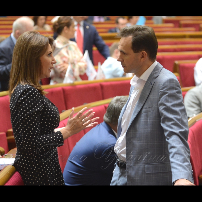 Сесія Верховної Ради України. Ірина Сисоєнко Олег Лаврик САМ