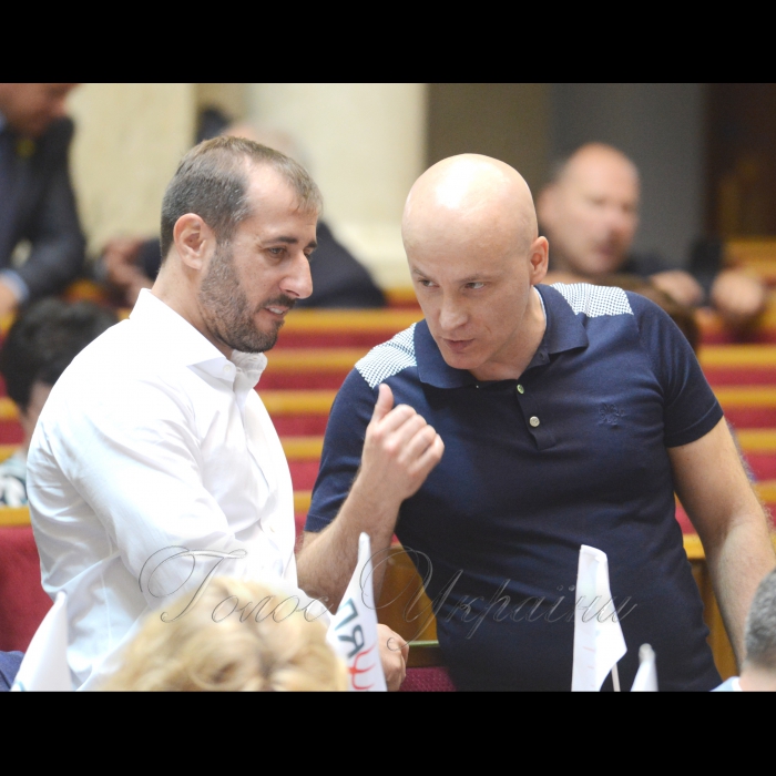 Сесія Верховної Ради України. Сергій Рибалка НФ Андрій Денисенко позафр.