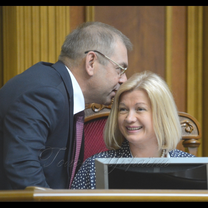 Сесія Верховної Ради України. Сергій Пашинський Ірина Геращенко