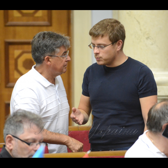 Сесія Верховної Ради України. Микола Кучер БП Владислав Голуб позафр.