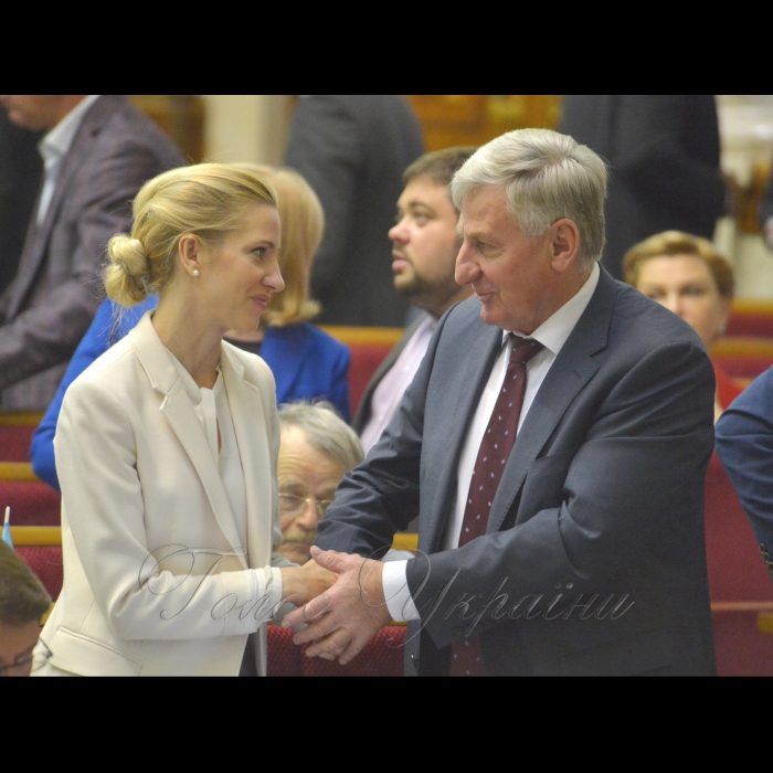 Сесія Верховної Ради України. Світлана Заліщук БП Микола Лаврик БП