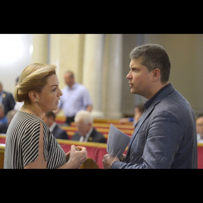 Сесія Верховної Ради України. Оксана Продан Павло Різаненко БП