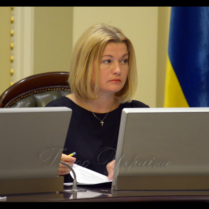 Погоджувальна рада у Верховній Раді України. Ірина Геращенко