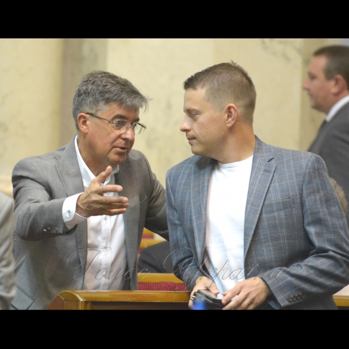 Сесія Верховної Ради України. Микола Кучер БП Владислав Голуб позафр.