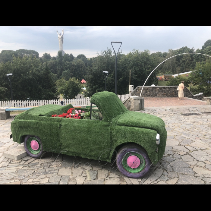 17 серпня 2018 виставка квітів 