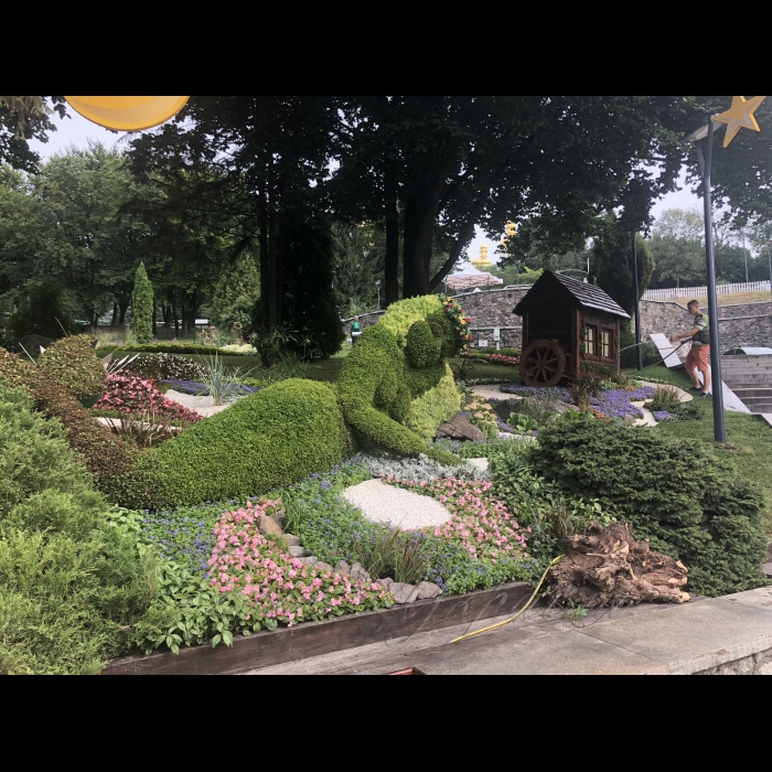 17 серпня 2018 виставка квітів 