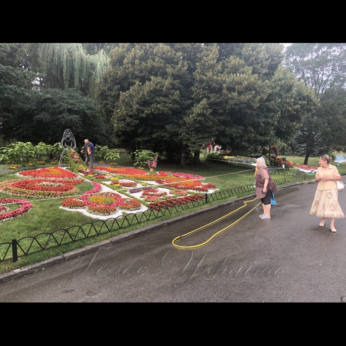 17 серпня 2018 виставка квітів 