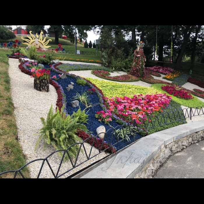 17 серпня 2018 виставка квітів 