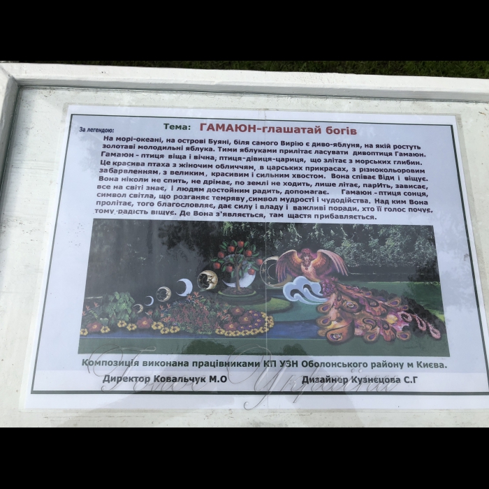 17 серпня 2018 виставка квітів 