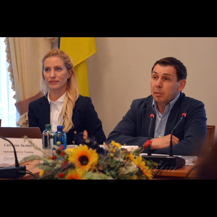 24 вересня 2018 у Комітеті Верховної Ради України відбувся міжнародний круглий стіл «Проблеми законодавчого забезпечення проведення референдумів в Україні». 
Народні депутати Олександр Черненко та Світлана Заліщук.