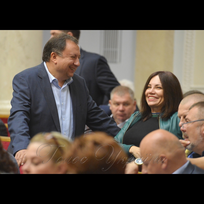 18 жовтня 2018 пленарне засідання Верховної Ради України.
Микола Княжицький, Вікторія Сюмар НФ.