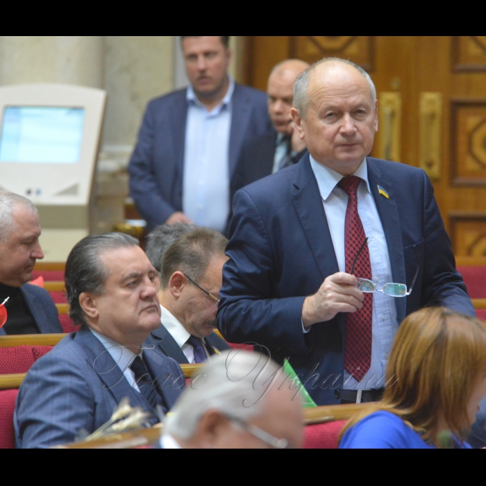 21 листопада 2018 пленарне засідання Верховної Ради України.
А. Парубій привітав усіх з Днем Гідності та Свободи. Народні депутати хвилиною мовчання вшанували пам’ять загиблих українців - Героїв Небесної Сотні. Олександр Дубінін позафр., Валентин Дідич позафр.