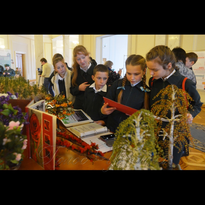21 листопада 2018 шкільні лісництва Житомирської області презентували у ВР свої здобутки у збереженні поліських лісів.
Діти північних віддалених районів області мають змогу бути зайнятими після школи, отримати корисні навички, працювати у лісі. На  території Житомирської області Шкільних лісництв налічується 32 заклади, науково-практичною роботою охоплено близька 700 дітей. 