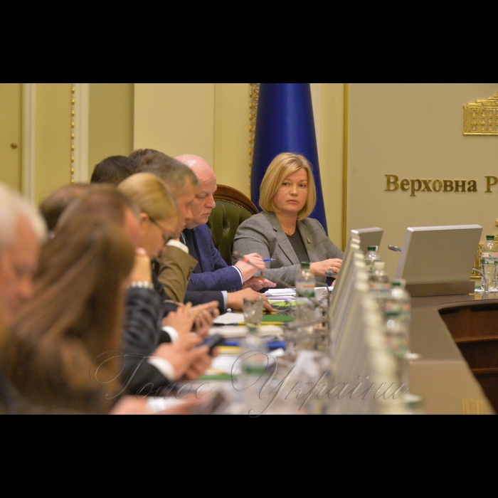 3 грудня 2018 погоджувальна рада Верховної Ради України.
Ірина Геращенко-1 заст. голови ВР.