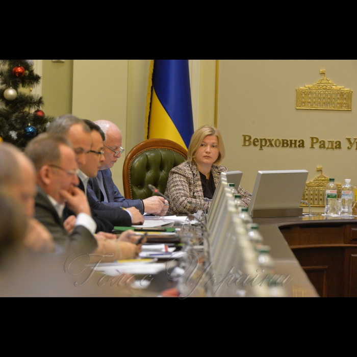 15 січня 2019 погоджувальна рада Верховної Ради України.
Степан Кубів-1 віце прем’єр, Ірина Геращенко-1 віце спікер.