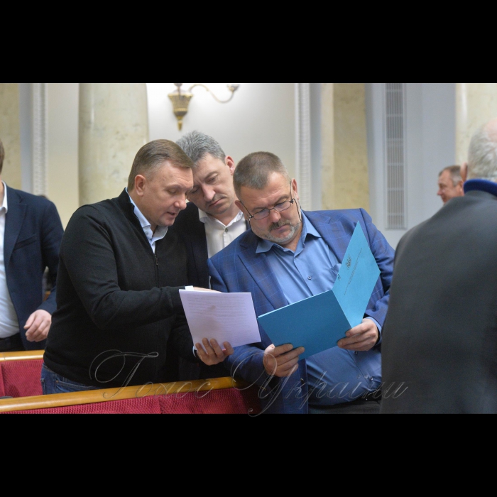 16 січня 2019 пленарне засідання Верховної Ради України.
Голова Верховної Ради України А. Парубій, відкривши ранкове пленарне засідання, нагадав, що 16 січня неофіційно називають Днем українських кіборгів.
Олександр Горбунов, Юрій Береза-НФ.