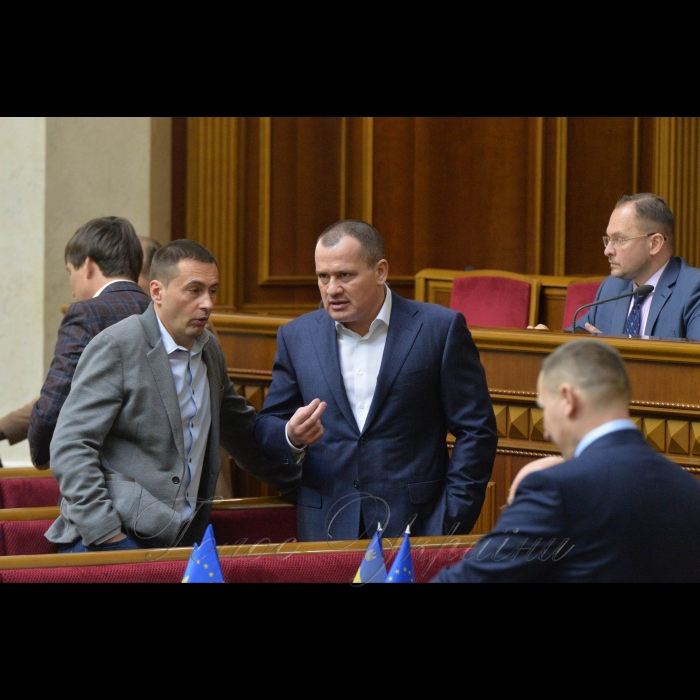 16 січня 2019 пленарне засідання Верховної Ради України.
Голова Верховної Ради України А. Парубій, відкривши ранкове пленарне засідання, нагадав, що 16 січня неофіційно називають Днем українських кіборгів.
У центрі – Артур Палатний – БПП.