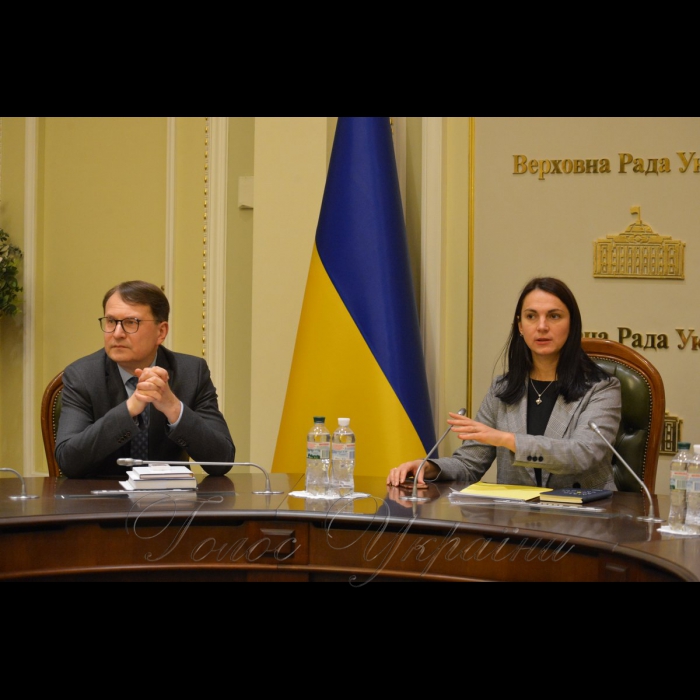 4 лютого 2019 за ініціативи Голови Комітету Верховної Ради України у закордонних справах Ганни Гопко відбулася зустріч народних депутатів України з Головою Конституційного Суду Литовської Республіки Дaйнюсом Жалімасом .