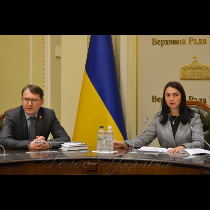 4 лютого 2019 за ініціативи Голови Комітету Верховної Ради України у закордонних справах Ганни Гопко відбулася зустріч народних депутатів України з Головою Конституційного Суду Литовської Республіки Дaйнюсом Жалімасом .