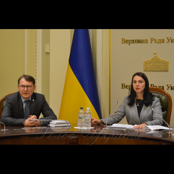 4 лютого 2019 за ініціативи Голови Комітету Верховної Ради України у закордонних справах Ганни Гопко відбулася зустріч народних депутатів України з Головою Конституційного Суду Литовської Республіки Дaйнюсом Жалімасом .