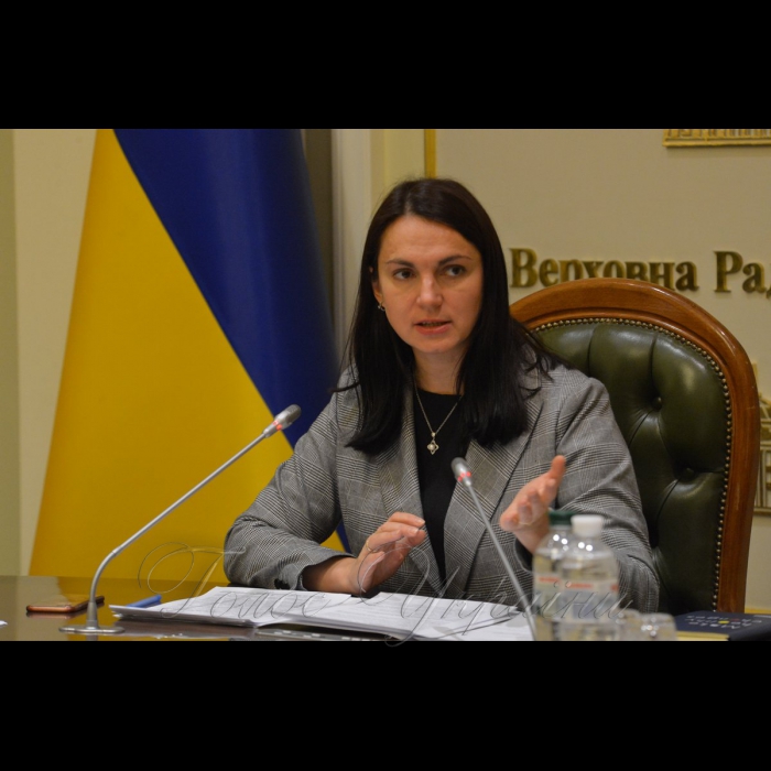 4 лютого 2019 за ініціативи Голови Комітету Верховної Ради України у закордонних справах Ганни Гопко відбулася зустріч народних депутатів України з Головою Конституційного Суду Литовської Республіки Дaйнюсом Жалімасом .